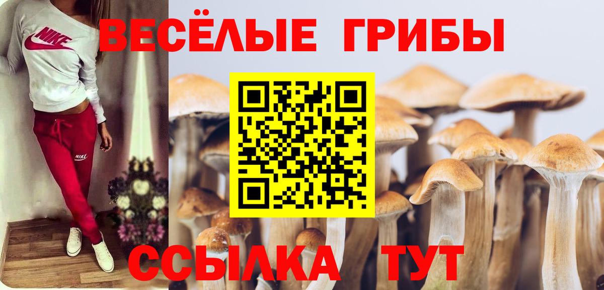 Галлюциногенные грибы Psilocybine cubensis  сколько стоит  Отрадное  Вход с VPN 
